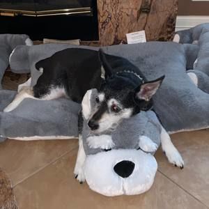 Meet your Posher, Christine